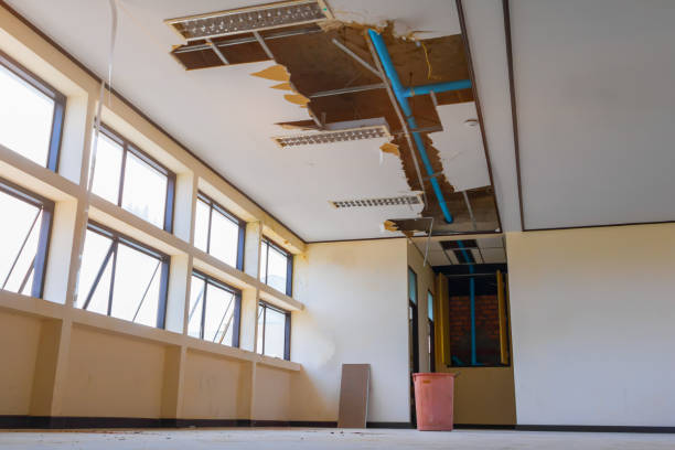 Best Residential water damage restoration  in Bouse, AZ