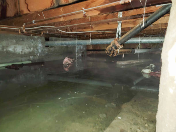 Best 24-hour water damage restoration  in Bouse, AZ