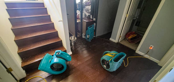 Best Emergency water damage restoration  in Bouse, AZ