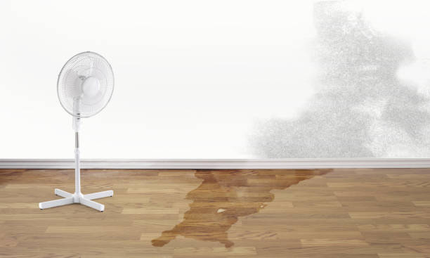Fire Damage Restoration in Bouse, AZ