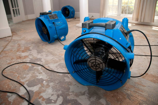 Best Ceiling water damage repair  in Bouse, AZ