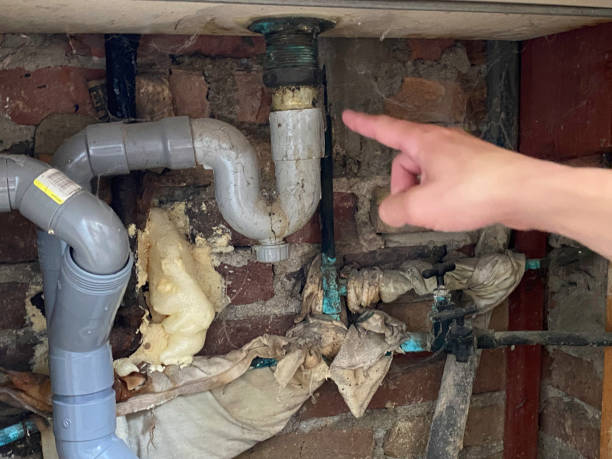 Best Flood damage cleanup  in Bouse, AZ